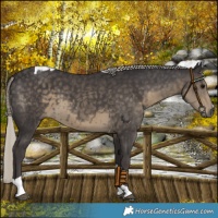 Horse Color:Silver Smoky Black Tobiano