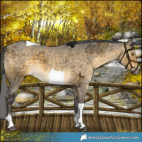 Horse Color:Buckskin Dun Merle Tobiano 