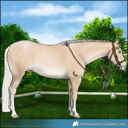 Horse Color:Silver Buckskin Pearl