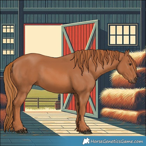 Horse Color:Chestnut 