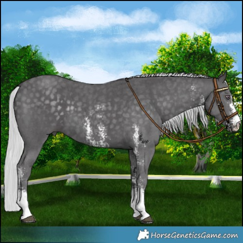 Horse Color:Silver Smoky Black Chinchilla Sabino 