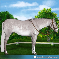 Horse Color:Chocolate Silver Grullo Chinchilla Sabino 