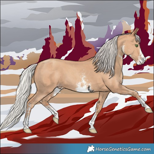Horse Color:Silver Classic Champagne Sabino