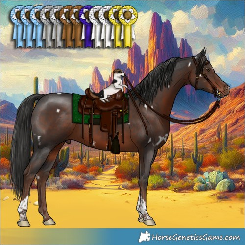 Horse Color:White Spotted Liver Chestnut Tobiano 