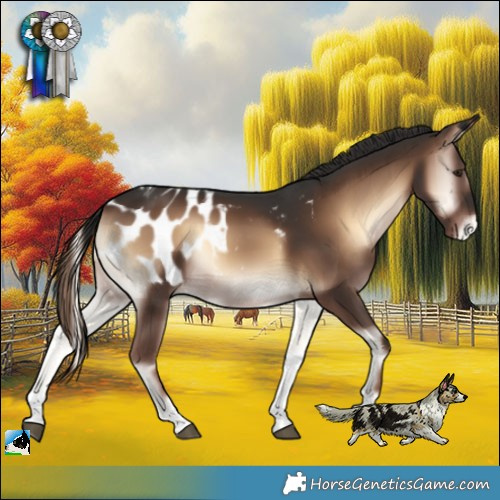 Horse Color:Liver Red Onyx Tobiano Blanket Rabicano 