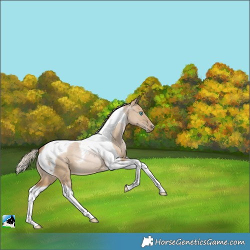 Horse Color:Chocolate Palomino Pearl Dun Tobiano 