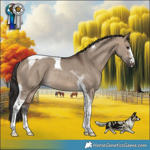 Horse Color:Brown Dun Tobiano Rabicano 