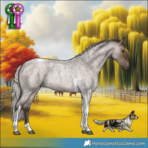 Horse Color:Silver Brown Roan Dun Tobiano Rabicano 