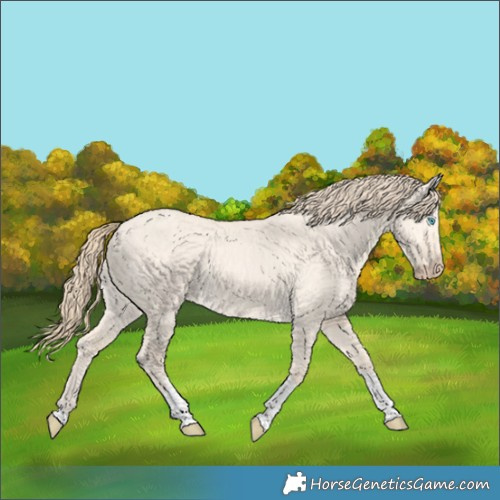 Horse Color:Perlino Dun Tobiano Rabicano 