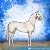 Horse Color:Perlino Dun Tobiano Rabicano 