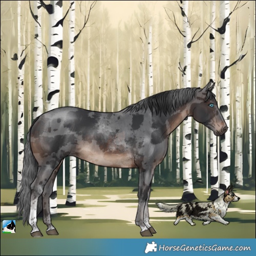 Horse Color:Brown Merle Tobiano Rabicano 