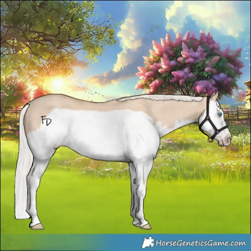 Horse Color:Silver Classic Champagne Dun Splash Frame 