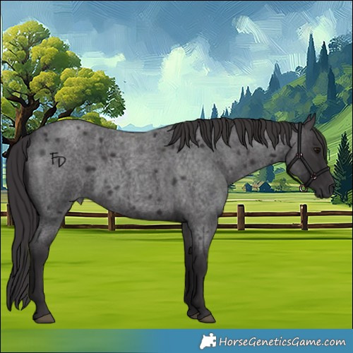 Horse Color:Smoky Blue Roan Rabicano 