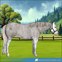 Horse Color:Silver Blue Roan Splash 