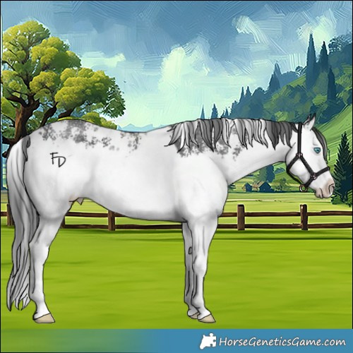 Horse Color:Black Sabino Splash 
