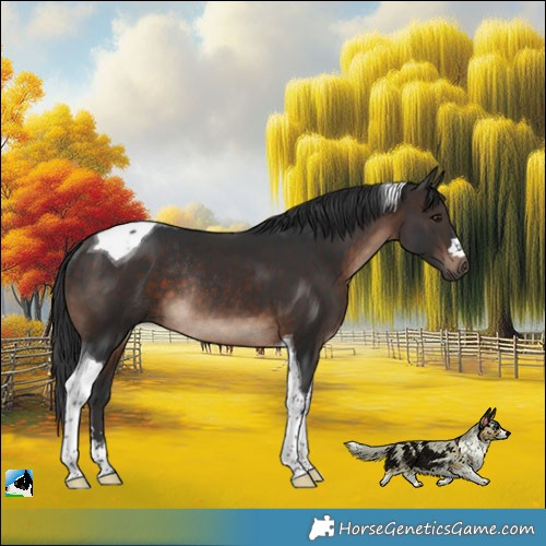 Horse Color:Brown Mushroom Tobiano Rabicano 
