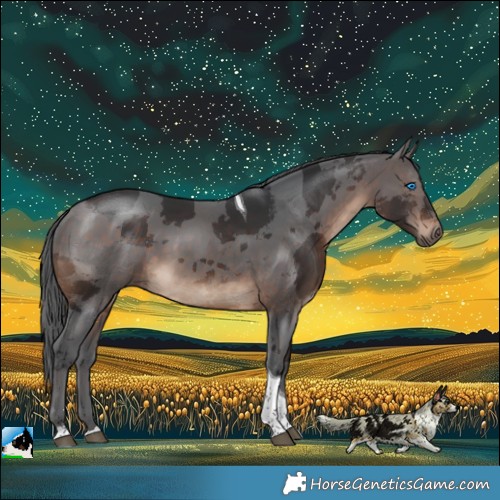 Horse Color:Brown Merle Tobiano