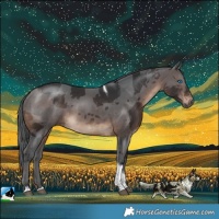 Horse Color:Brown Merle Tobiano 