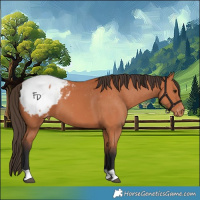 Horse Color:Bay Snowcap 