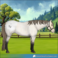 Horse Color:Buckskin Roan Snowcap 