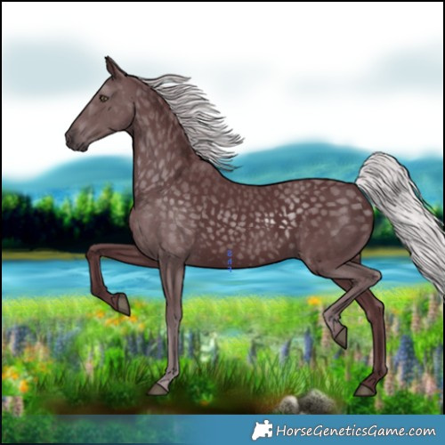 Horse Color:Chocolate Silver Black Chinchilla 