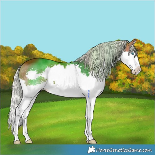 Horse Color:Silver Brown Splash 
