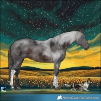 Horse Color:Brown Merle Tobiano Rabicano