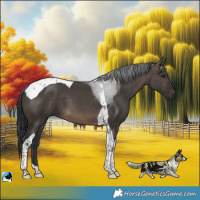Horse Color:Brown Dun Tobiano