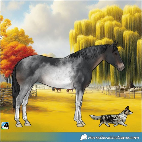 Horse Color:Brown Mushroom Tobiano