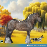 Horse Color:Brown Dun Merle Tobiano Brindle 