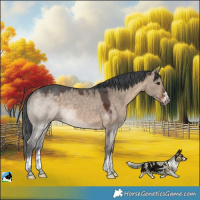 Horse Color:Brown Dun Merle 