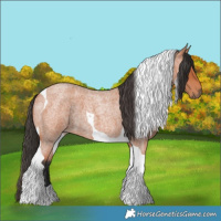Horse Color:Bay Roan Tobiano 