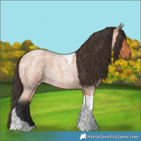 Horse Color:Bay Roan Tobiano 