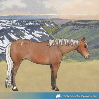 Horse Color:Silver Bay Varnish 