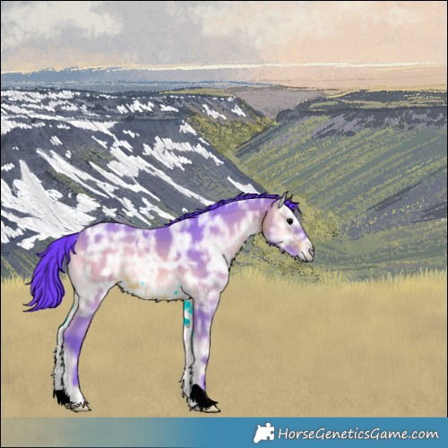 Horse Color:Watercolor Brown Ice Onyx 