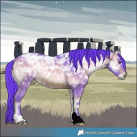 Horse Color:Watercolor Brown Ice Onyx