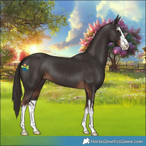 Horse Color:White Spotted Liver Chestnut 