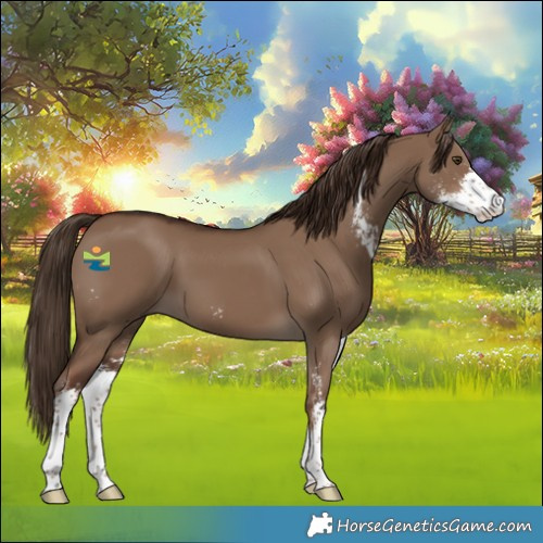 Horse Color:Liver Red Dun Sabino 