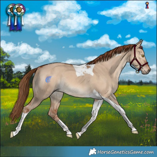 Horse Color:Red Dun Tobiano Rabicano 