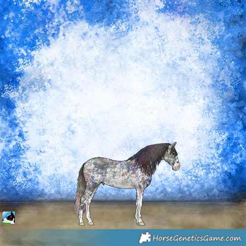 Horse Color:Nacre Brown Ice Sabino Rabicano 
