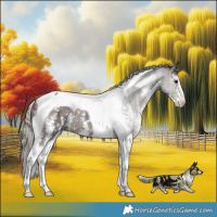 Horse Color:Silver Brown Sabino Tobiano Rabicano