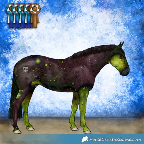 Horse Color:ERROR: UNKNOWN ANOMALY