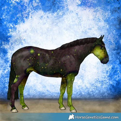 Horse Color:ERROR: UNKNOWN ANOMALY