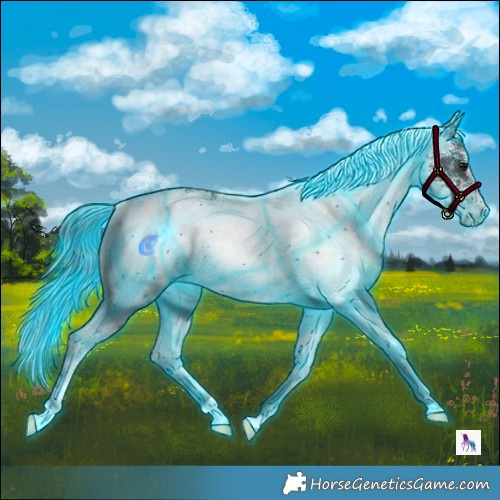 Horse Color:Thunderstruck White Spotted Brown 