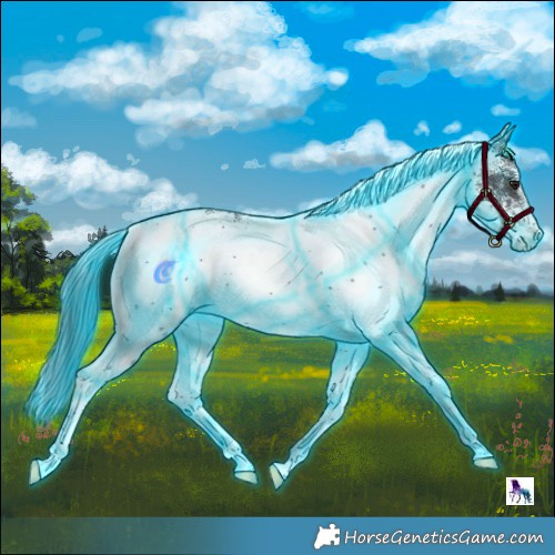 Horse Color:Thunderstruck White Spotted Brown 