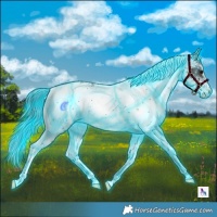Horse Color:Thunderstruck White Spotted Brown 