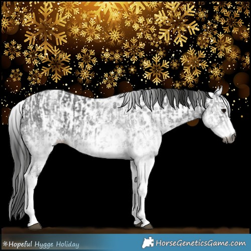 Horse Color:Gray White Spotted Black and Gray White Spotted Black Leopard