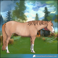 Horse Color:Gold Champagne Rabicano 