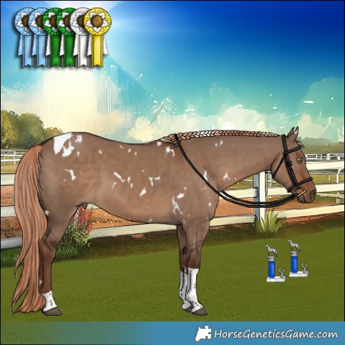 Horse Color:White Spotted Liver Red Dun Tobiano 