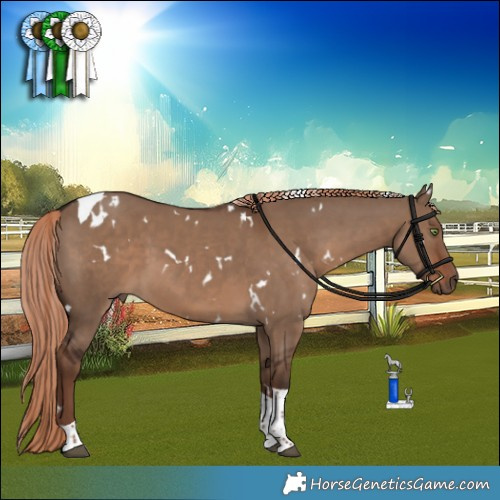 Horse Color:White Spotted Liver Red Dun Tobiano 